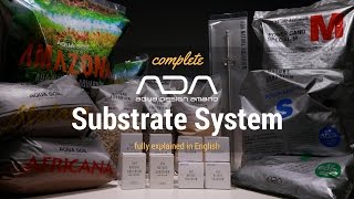 ADA Basics  Substrate System english [upl. by Kovacs]