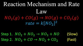 Reaction Mechanism and Rate Law  Chemistry [upl. by Furtek]