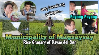 Magsaysay Davao del Sur [upl. by Aronson93]