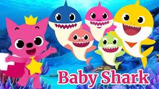 Baby Shark  baby Shark Song  baby Shark doo doo doo doo [upl. by Ulberto]