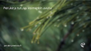 perukirjanetissafi  Perukirja tutuksi esimerkin avulla [upl. by Debi659]