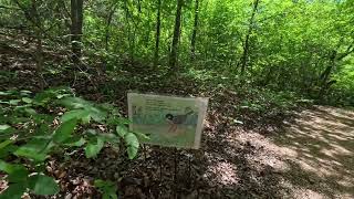 Hiking Canyon Floor Trail  Dogwood Canyon Audubon Center  Cedar Hill TX [upl. by Wolfie]