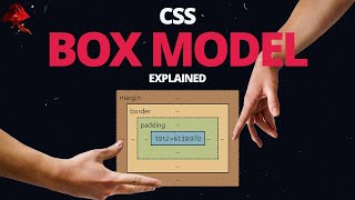 Learn CSS BOX MODEL  With Real World Examples [upl. by Niccolo]