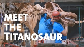 Meet the Titanosaur [upl. by Enad]