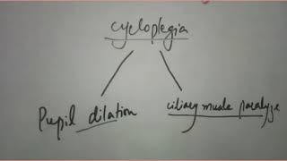 cycloplegic refraction procedure [upl. by Evante]