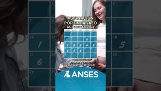 Calendario de Anses con las fechas de pago de la asignación por embarazo en octubre de 2024 anses [upl. by Markiv]