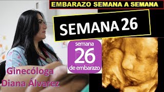 SEMANA 26 EMBARAZO SEMANA A SEMANA POR GINECOLOGA DIANA ALVAREZ [upl. by Latsyrhk]