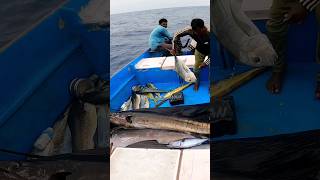 Gaint Trevally Fish catching in the deep sea shortsfeed fishing [upl. by Orthman]