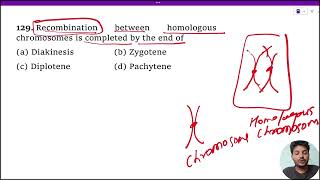 Recombination between homologous chromosomes is completed by the end of 1 Diakinesis 2 Zygotene [upl. by Ahsatal]