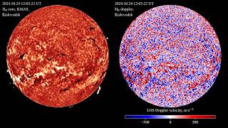 Hα 20241024  Spectroheliograph Data [upl. by Missak]