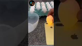 🤯 അവസാനം വരെ നോക്കൂ 💥😱😲  How to find spoiled eggs  shorts facts shortsfeed [upl. by Eive409]