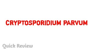 Cryptosporidium parvum  Parasitology  MBBS [upl. by Atwahs]