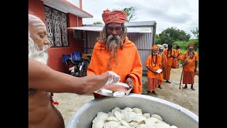 Tiruvannamalai  13 Nov 2024  Annadhanam for 250 Sadhus [upl. by Haras]