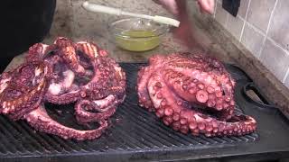 Pulpo a las Brasas o a la Parrilla Tierno y Sabroso [upl. by Ultun]