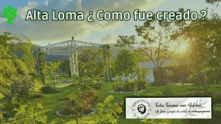 Alta Loma ¿ como surgio en Costa Rica un Bosque Cementerio [upl. by Garbers200]