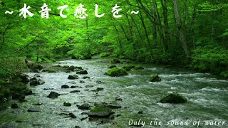 自律神経を整える自然音  癒しbgm  睡眠用bgm  瞑想用bgm  relax bgm  only the sound of water [upl. by Wane]