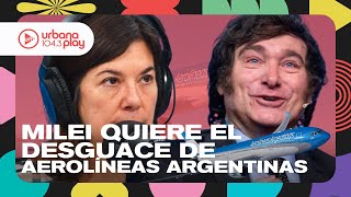 quotDesguazar Aerolíneas Argentinas es más caro que seguir por este caminoquot Pablo Ceriani DeAcáEnMás [upl. by Dnomsaj292]