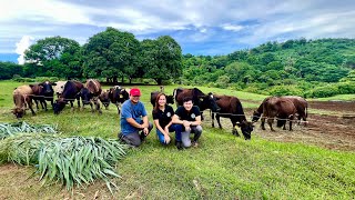 Super Important Tips para sa Dairy Cattle Farmers Transforming Challenges into Success [upl. by Notgnirrab]