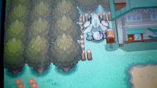 Hidden Item in New Bark Town Soul Silver [upl. by Oirogerg735]