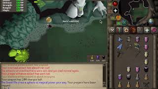 Flawless Olm kill with full budget gear OSRS [upl. by Narda192]