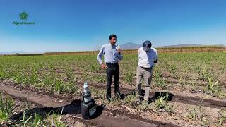 ¡Logra excelentes resultados con nuestros paquetes de arranque y fertilización foliar para caña [upl. by September832]