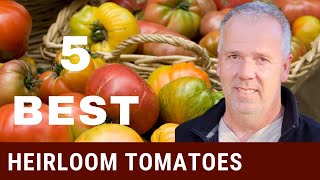 5 Favorite Heirloom Tomatoes to grow in 2022 [upl. by Litt]