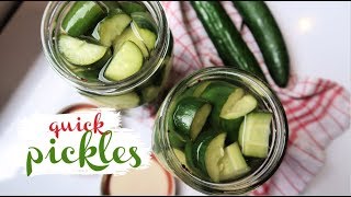 A Quick and Easy Pickle Recipe 11 [upl. by Picco]