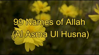 99 Names of Allah Al Asma Ul Husna I Meaning and Explanation I AsmaulHusna quran allahname [upl. by Learsiy850]