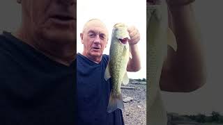 fishing The Weir Ashokan Reservoir largemouthbass [upl. by Man]