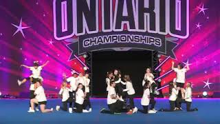 CPA Lions Sunstone Cheer Abilities Ontario Championships 2024 [upl. by Mcmath826]