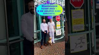 Therapiehund Lotte Vom Welpen zur Begleiterin in der Klinik  Asklepios shorts [upl. by Maryellen759]