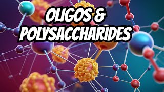 Chapter 1  Chemistry Of Carbohydrates Part4  Oligosaccharides and Polysaccharides  Video4 [upl. by Morganne]