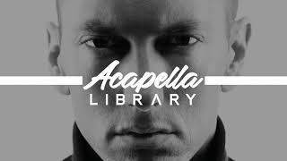 Eminem  When Im Gone Acapella  Vocals Only [upl. by Gerhan]