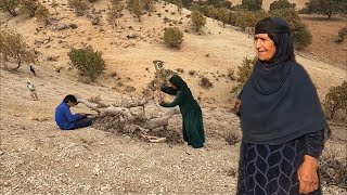 Preparing firewood for winter fuel on grandmothers farm [upl. by Kobylak]