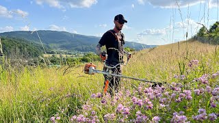 My oldest brushcutter Stihl Fs 300 cutting big grass  Motocoasa Stihl in iarba mare [upl. by Ydor892]