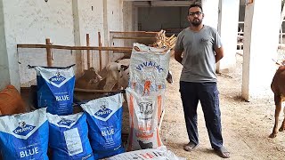 How to raise calves benefits of milk replacer farmingleaderOfficialDrMuzzammil farmya [upl. by Ayikal114]