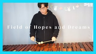 Deltarune OST  Field of Hopes and Dreams Marimba Cover [upl. by Enogitna]