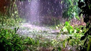 Sleep Certainly In 5 Minutes With Tropical Rainforest amp Thunderstorm Sounds  Relaxing White Noise [upl. by Chasse]