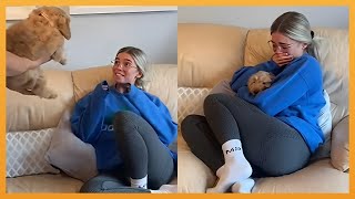 NEW PUPPY SURPRISE COMPILATION 2024  WHOLESOME SURPRISE MOMENTS [upl. by Iinden951]