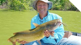 Fish Finder Rig amp Drag Tips  How to Catch Channel Catfish [upl. by Lacagnia]