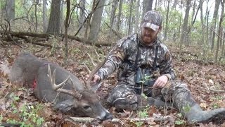 Exciting KY Rut Hunt [upl. by Issirk]