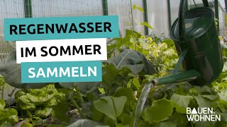 Garten Tipp Regenwasser im Sommer sammeln [upl. by Norabel]