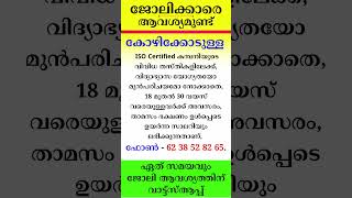 kerala jobs 2024 todays job malayalam jobs December 11 [upl. by Alleahcim]