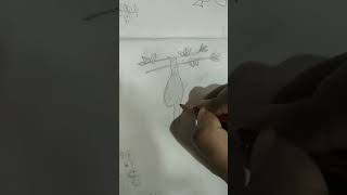 Bird nest how to draw bird nest easydrawing artdrawing [upl. by Weiler108]