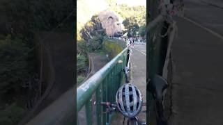 baguiocity mountains nature travel views shortvideo shorts [upl. by Ephrem352]