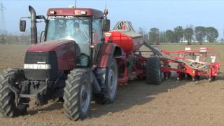 CASEIH MX150SEMINATRICE GASPARDO MODELLO SCATENATA [upl. by Ennaxor151]