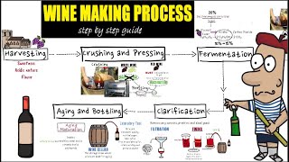 Wine making process step by step Detail guide of wine makingpreparation and making of wine [upl. by Lihkin]