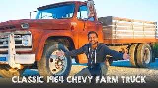 We Bought a Classic 1964 Chevy Farm Truck [upl. by Stevy]