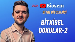 Bitki Biyolojisi  Bitkisel Dokular2 Konu Anlatımı 12 Sınıf Biyoloji [upl. by Ursala]