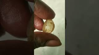 River hunting stone Natural gemstoneshortvideo crystals quartz crystalgems snschannel [upl. by Yetnruoc486]